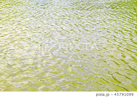 Nile river Nile river 45791099