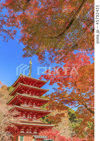 長谷寺の紅葉 長谷寺の紅葉 45792455