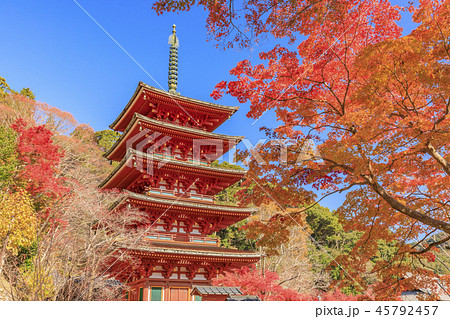 長谷寺の紅葉 長谷寺の紅葉 45792457