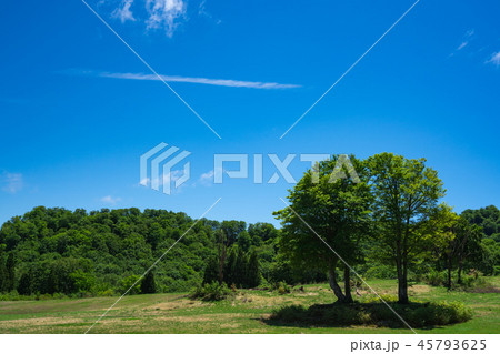 大厳寺高原の牧場 大厳寺高原の牧場 45793625