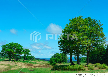 大厳寺高原の牧場 45793627