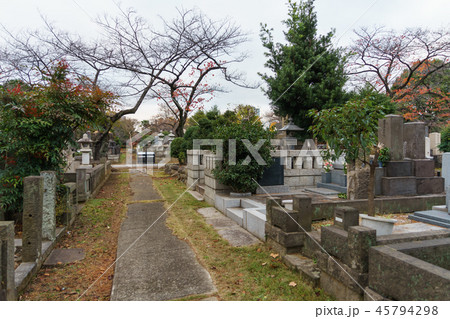 秋の青山霊園 45794298