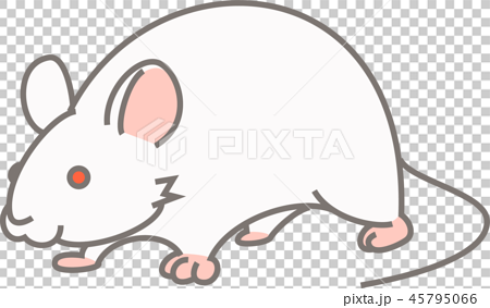 Experimental Mouse Stock Illustration