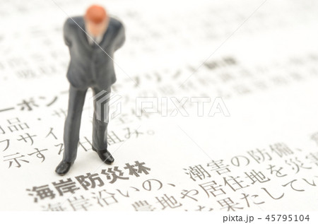 海岸防災林イメージ 海岸防災林イメージ 45795104