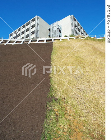 急傾斜地の法面整形と植生基材吹付工事が完了しました 45795163