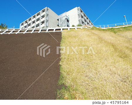 急傾斜地の法面整形と植生基材吹付工事が完了しました 45795164