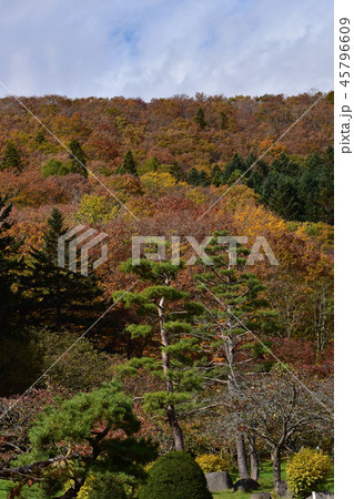 晩秋の公園と紅葉した山 45796609