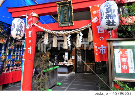 人形町のおとりさま 人形町のおとりさま 45796652