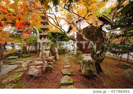 蓮花寺庭園 45796993