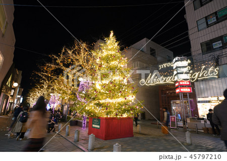 日本の東京都市景観 自由が丘南口緑道（九品仏川緑道）など、街並みを望む 45797210