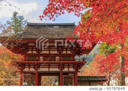 室生寺 紅葉の写真素材