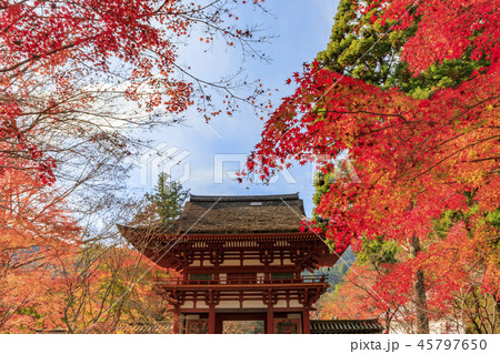 室生寺　紅葉 45797650