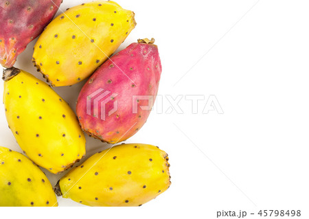 red end yellow prickly pear or opuntia isolated on a white background with copy space for your text 45798498