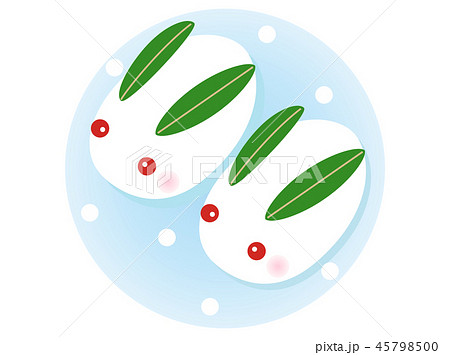 雪うさぎ2 45798500