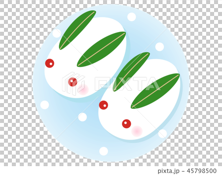 雪うさぎ2 45798500