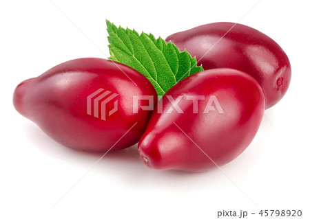 Red berries of cornel or dogwood with leaf isolated on white background 45798920