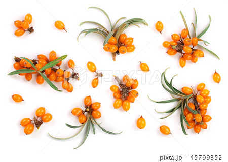 Sea buckthorn. Fresh ripe berry with leaves isolated on white background. Top view. Flat lay pattern 45799352