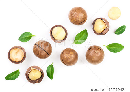 Shelled and unshelled macadamia nuts with leaves isolated on white background with copy space for Shelled and unshelled macadamia nuts with leaves isolated on white background with copy space for 45799424