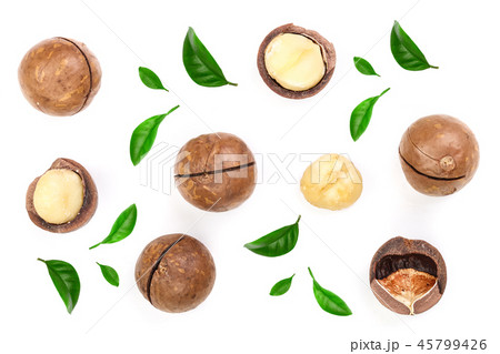 Shelled and unshelled macadamia nuts with leaves isolated on white background. Top view. Flat lay 45799426