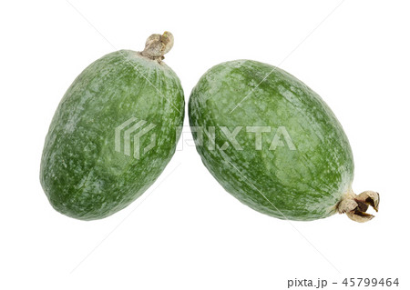 Tropical fruit feijoa Acca sellowiana isolated on white background. Top view. Flat lay pattern Tropical fruit feijoa Acca sellowiana isolated on white background. Top view. Flat lay pattern 45799464