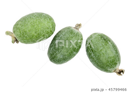 Tropical fruit feijoa Acca sellowiana isolated on white background. Top view. Flat lay pattern Tropical fruit feijoa Acca sellowiana isolated on white background. Top view. Flat lay pattern 45799466