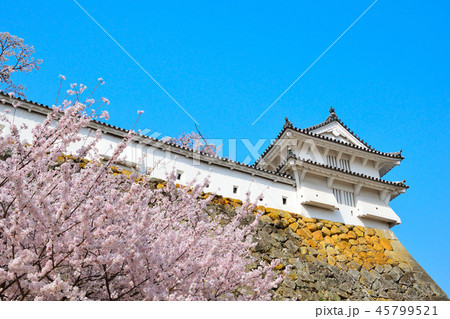 桜景　姫路城　西の丸 45799521