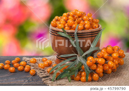 Sea-buckthorn berries in a wooden bowl on table with blurred garden background 45799790