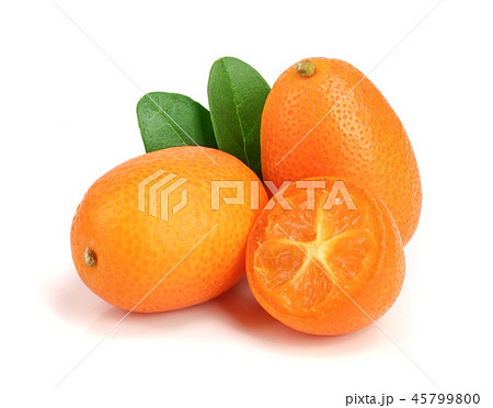 Cumquat or kumquat with leaf isolated on white background close up Cumquat or kumquat with leaf isolated on white background close up 45799800