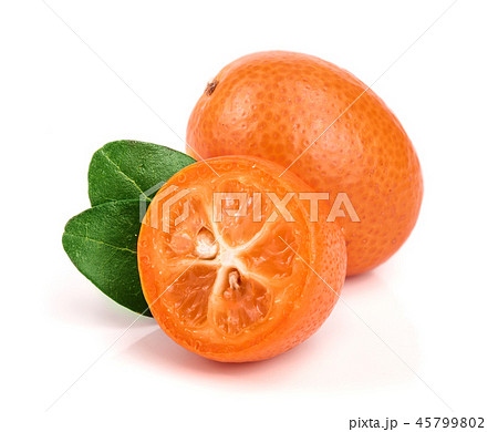 Cumquat or kumquat with leaf isolated on white background close up Cumquat or kumquat with leaf isolated on white background close up 45799802