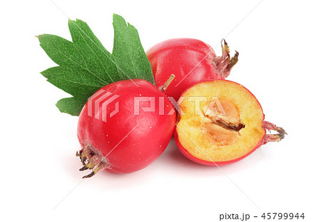 Hawthorn berry with leaf isolated on white background close-up 45799944