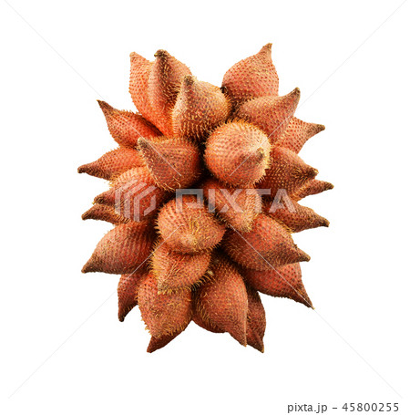 waive, Salak or Sala Fruit of Thailand isolated waive, Salak or Sala Fruit of Thailand isolated 45800255