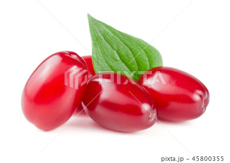 dogwood berry with leaf isolated on white background 45800355