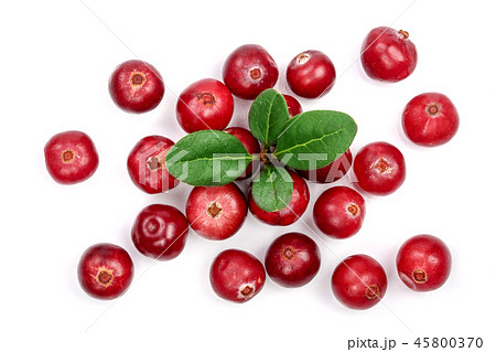 Cranberry with leaf isolated on white background closeup top view Cranberry with leaf isolated on white background closeup top view 45800370