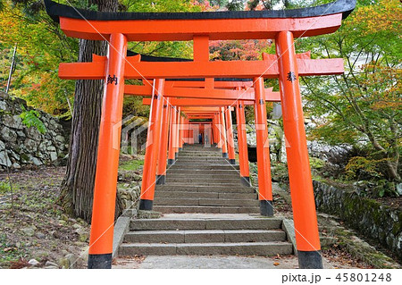 出石城鳥居 出石城鳥居 45801248