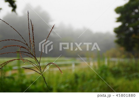 雨模様 雨模様 45801880