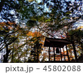 月居山の鐘突堂 45802088