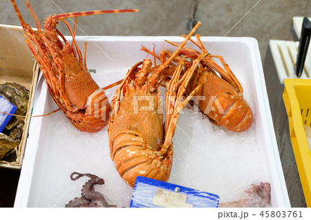 Fresh and uncooked French loobster Fresh and uncooked French loobster 45803761