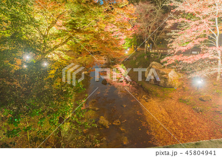 岩屋堂公園の紅葉（ ライトアップ） 45804941
