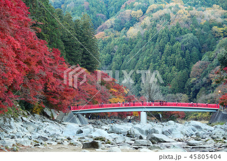香嵐渓の紅葉 2018 香嵐渓の紅葉 2018 45805404