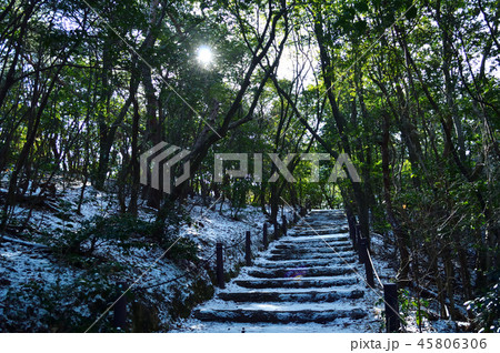 冬の公園、雪に覆われた階段 45806306