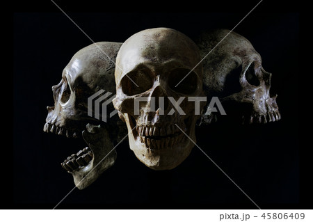 Head skull in flame on dark black background. Head skull in flame on dark black background. 45806409