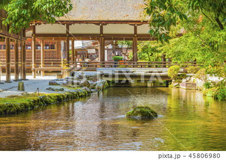 京都　上賀茂神社　ならの小川 45806980