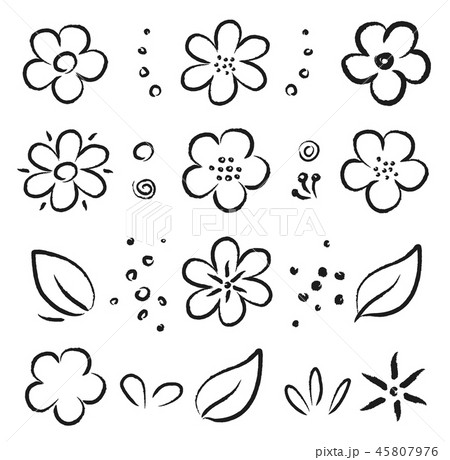 hand drawn black summer flowers and leaves set hand drawn black summer flowers and leaves set 45807976