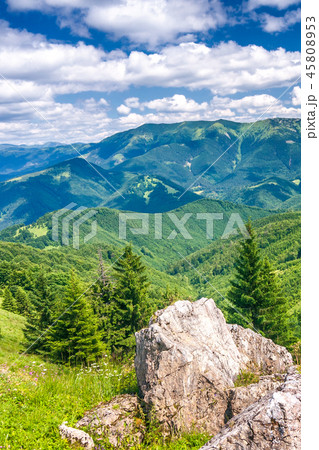 Spring landscape with grassy meadows and hills. Spring landscape with grassy meadows and hills. 45808953