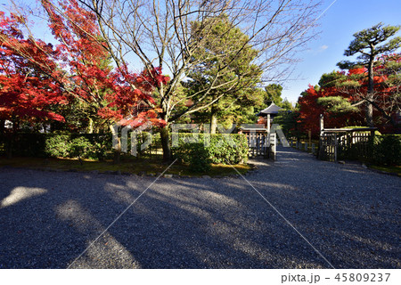 妙法院門跡 紅葉 妙法院門跡 紅葉 45809237
