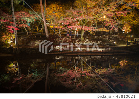 岩屋堂公園の紅葉( ライトアップ) 岩屋堂公園の紅葉( ライトアップ) 45810021