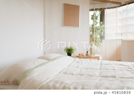 ベッドルーム 45810839