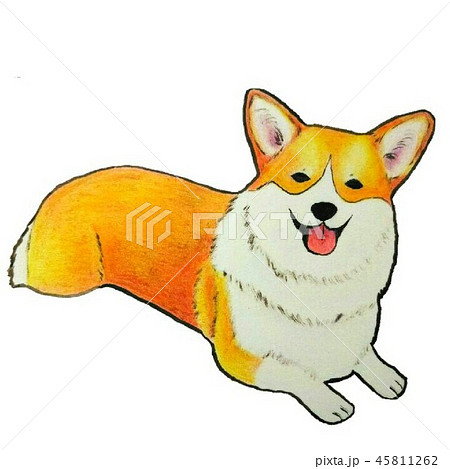 ふせをして笑顔を振りまくコーギーのイラスト素材