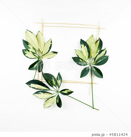 Frame made of wooden chopsticks and leaves  45811424