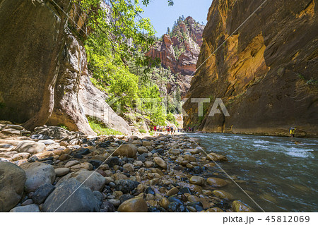 Zion National park,Utah,usa.06/02/16 45812069
